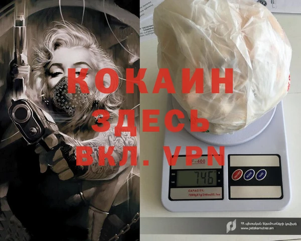 гашик Алексеевка