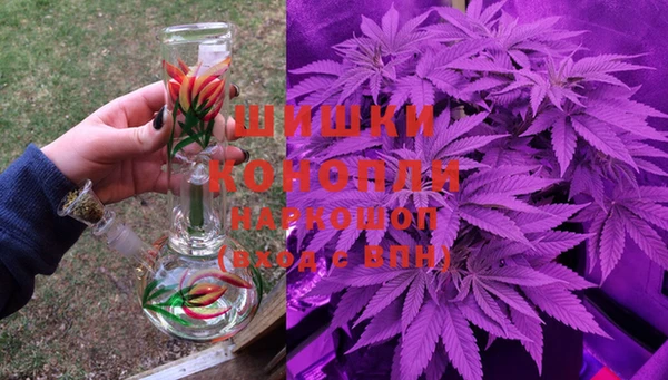 гашик Алексеевка