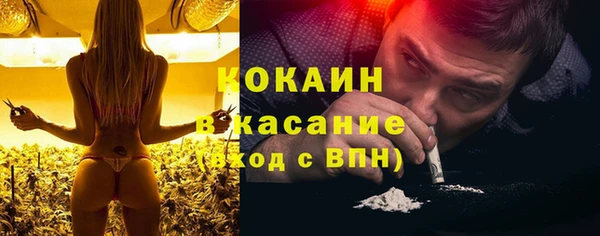 гашик Алексеевка