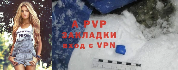 гашик Алексеевка
