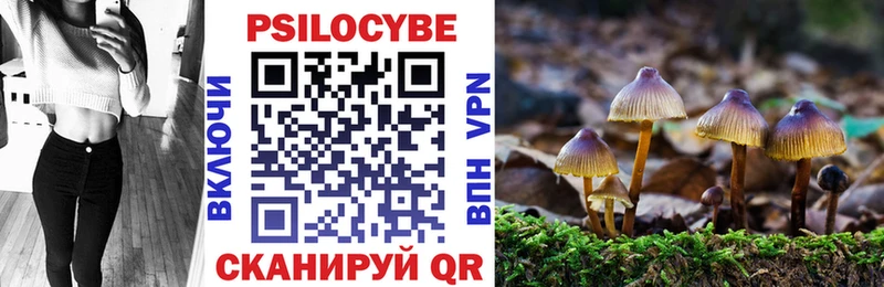Галлюциногенные грибы MAGIC MUSHROOMS  где можно купить наркотик  Аргун 